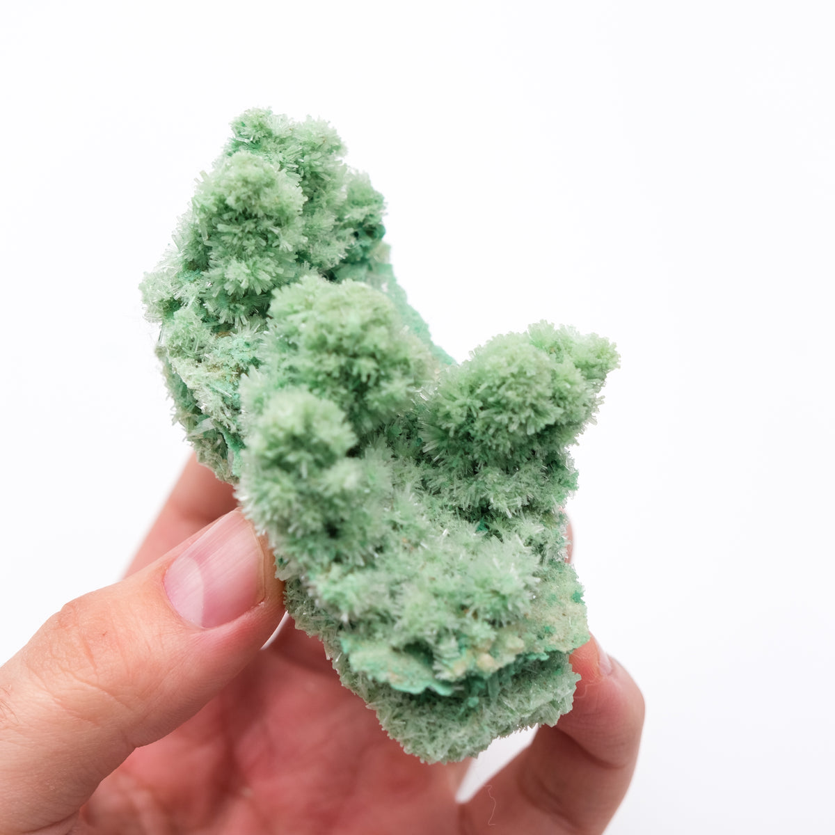 Green Selenite
