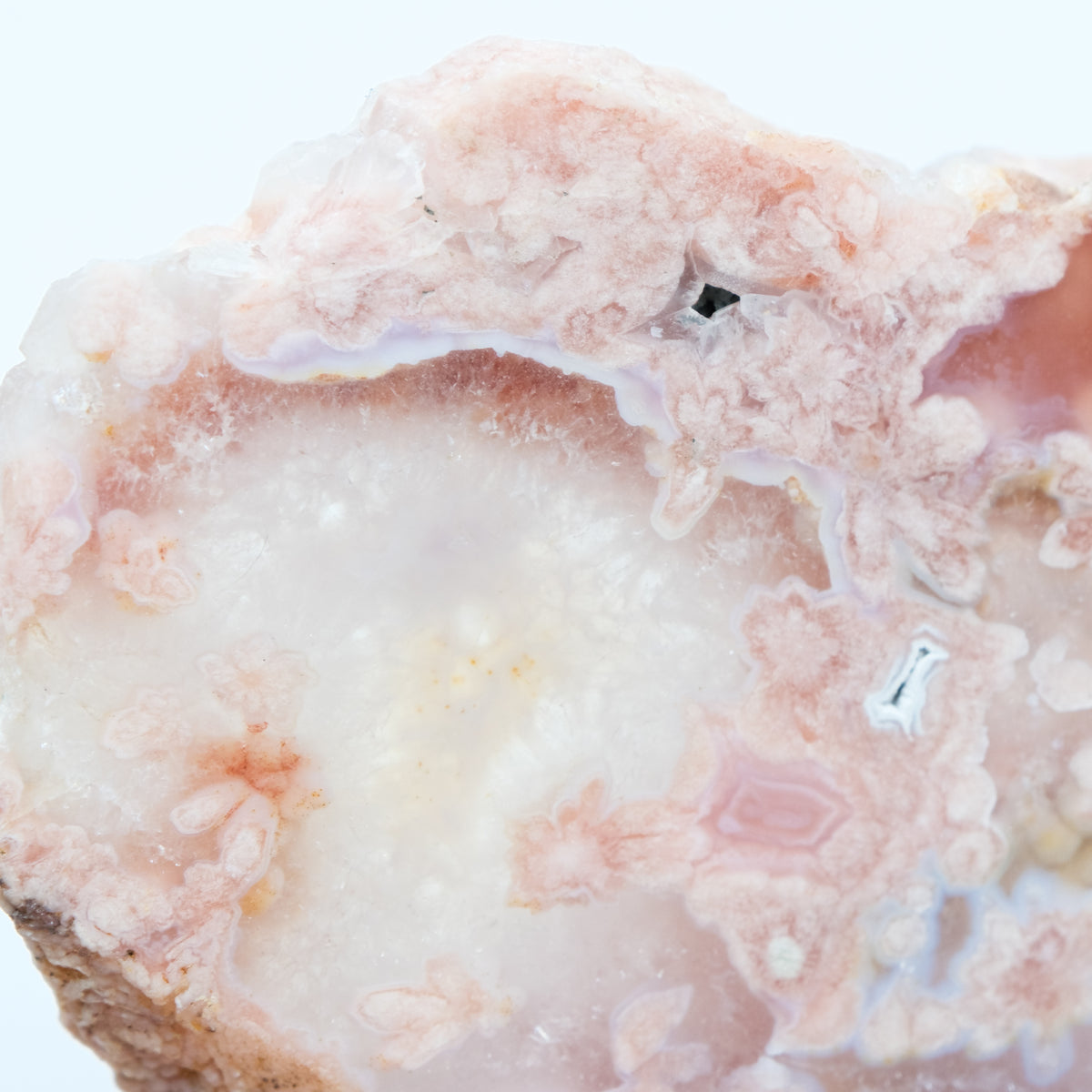 Flower Agate Slab-5