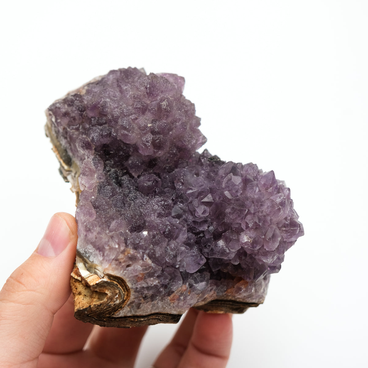 Amethyst Cluster
