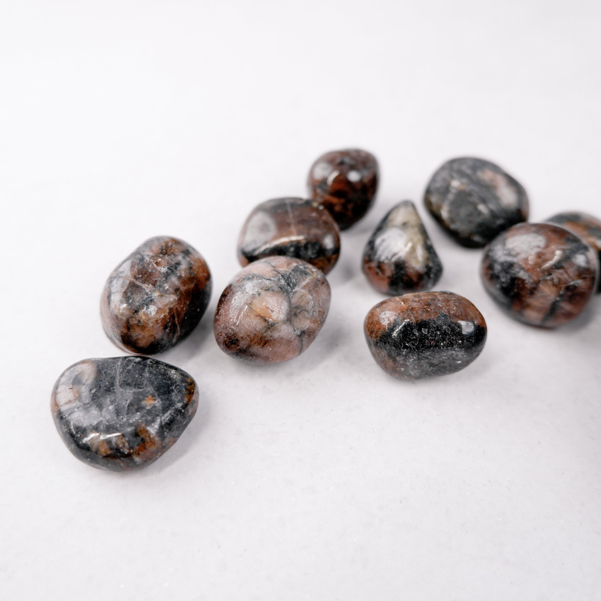 Chiastolite tumble stone from Noctis Studio showing a polished, dark mineral with distinctive cross-shaped pattern on a white background.