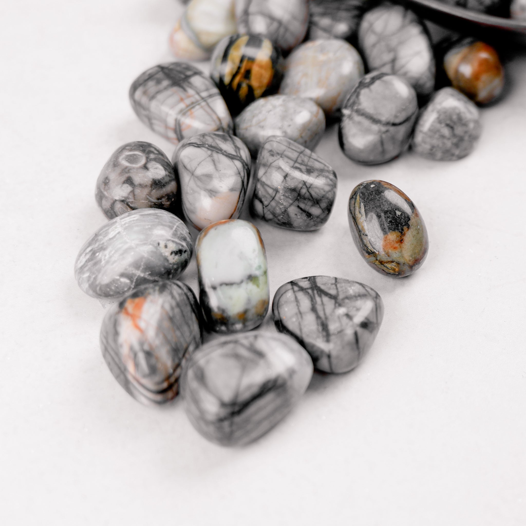 Noctis Studio Picasso Jasper tumble stone showing vibrant, patterned mineral surface in a close-up image.