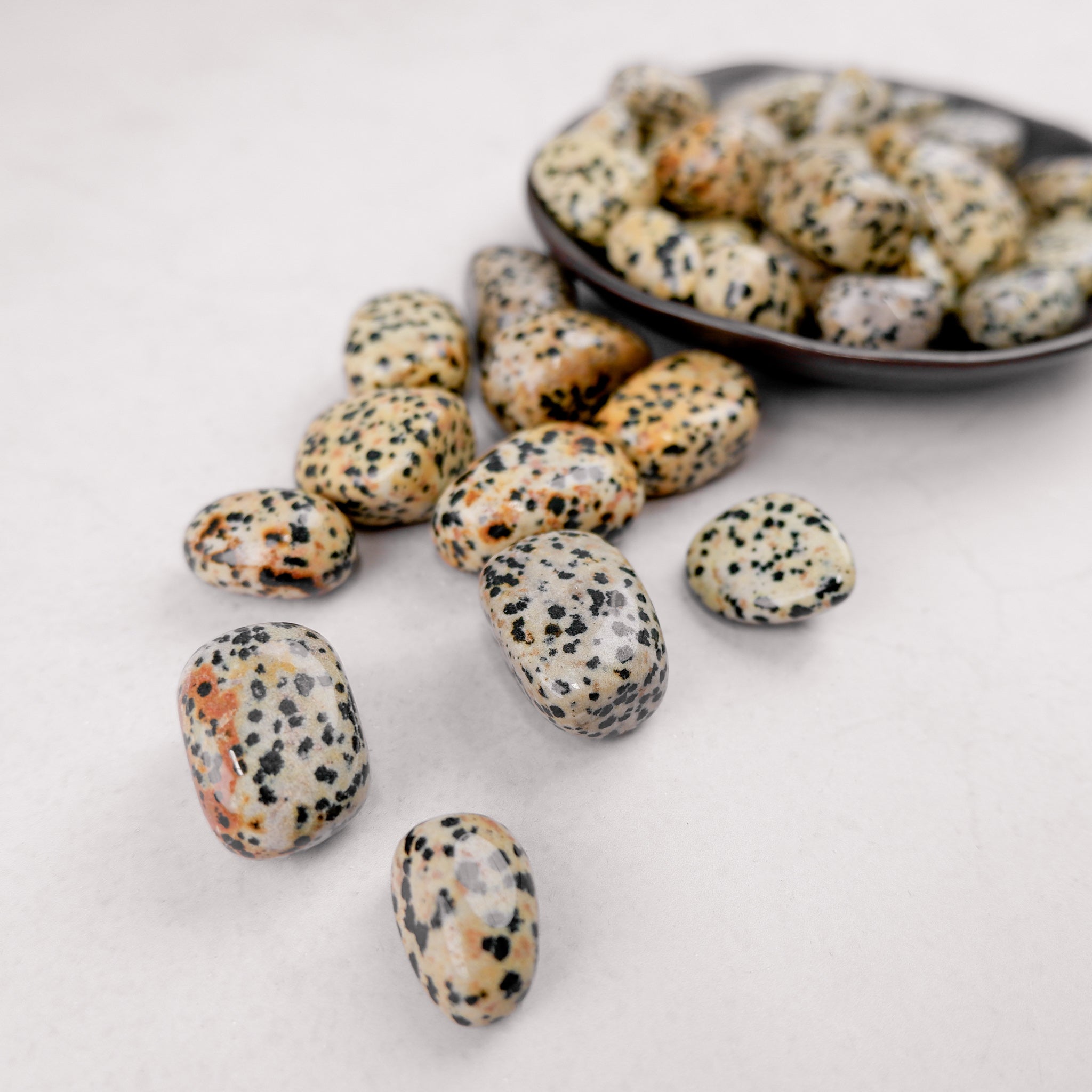 Dalmatian Jasper tumble stone from Noctis Studio, showing distinctive black spots on cream-colored mineral, polished for display.
