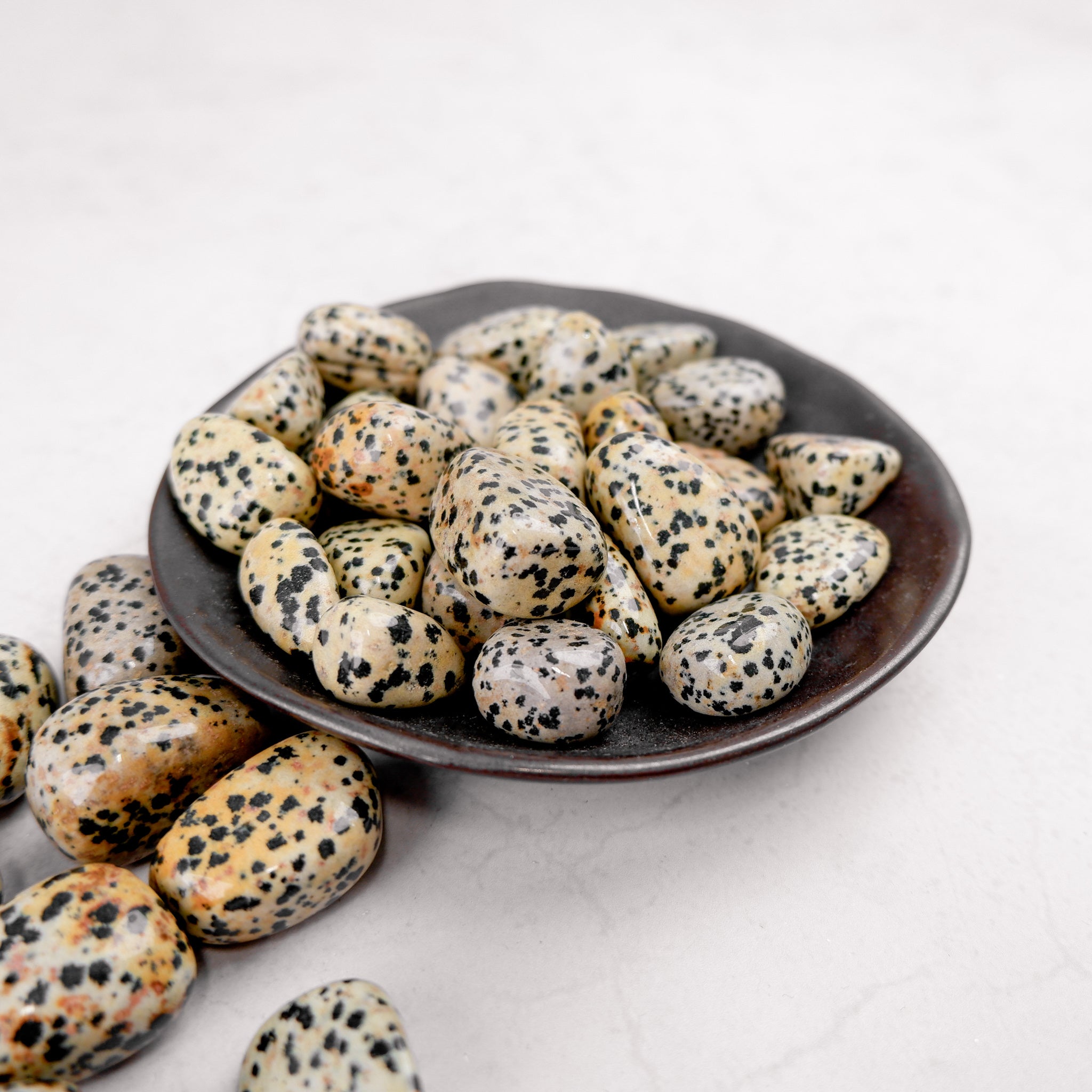 Dalmatian Jasper tumble stone from Noctis Studio, showing its distinctive black spots on a cream-colored mineral surface.