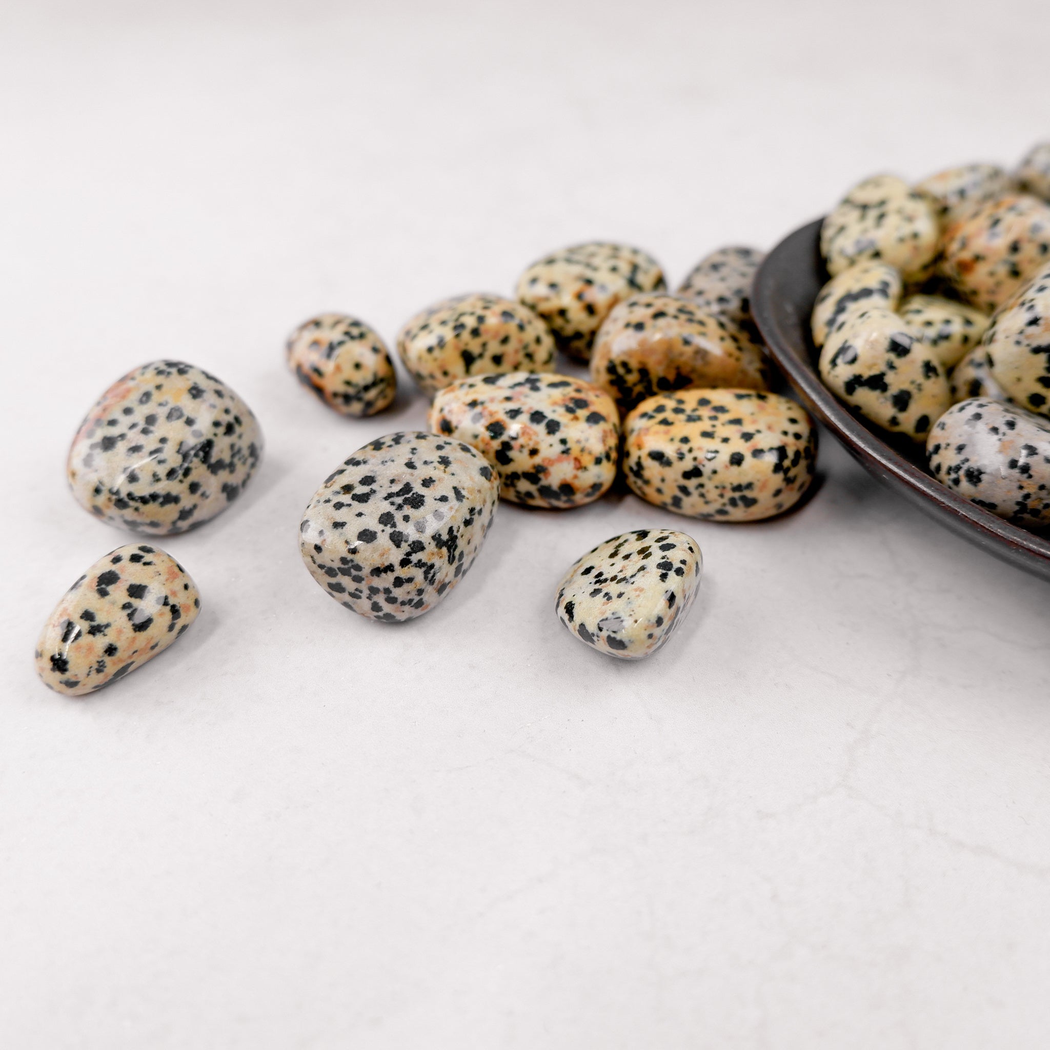 Dalmatian Jasper tumble stone from Noctis Studio, showing its distinctive spotted pattern and smooth polished surface.